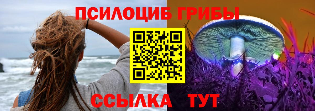 Галлюциногенные грибы ЛСД  Вход с VPN  Галлюциногенные грибы прущие грибы  Сегежа 