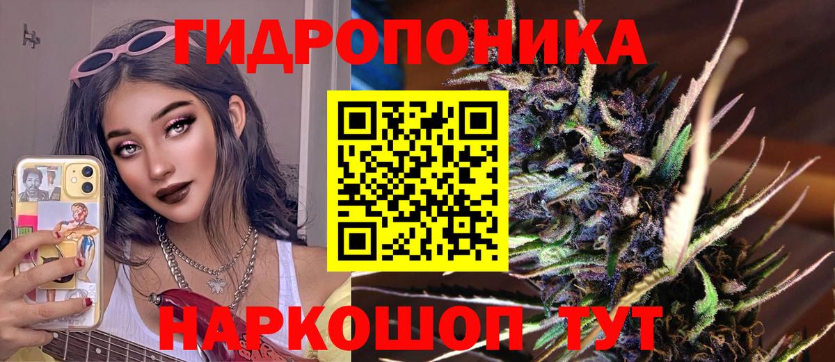 Сегежа  Шишки марихуана план  Каннабис THC 21%  Конопля SATIVA & INDICA  Вход с VPN 